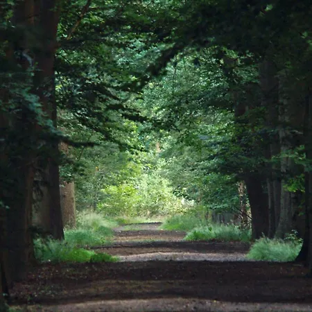 בית נופש T Kaatsheuveltje 7 *