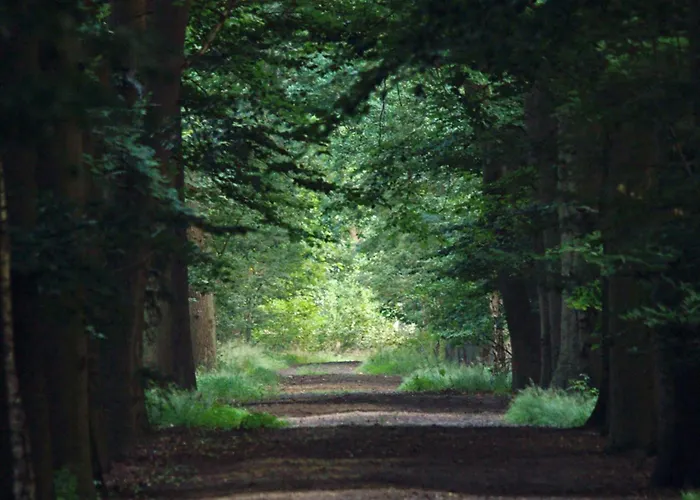 別荘 T Kaatsheuveltje 7