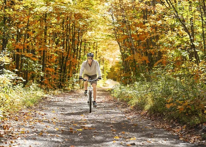 T Kaatsheuveltje 7 Vakantiehuis *